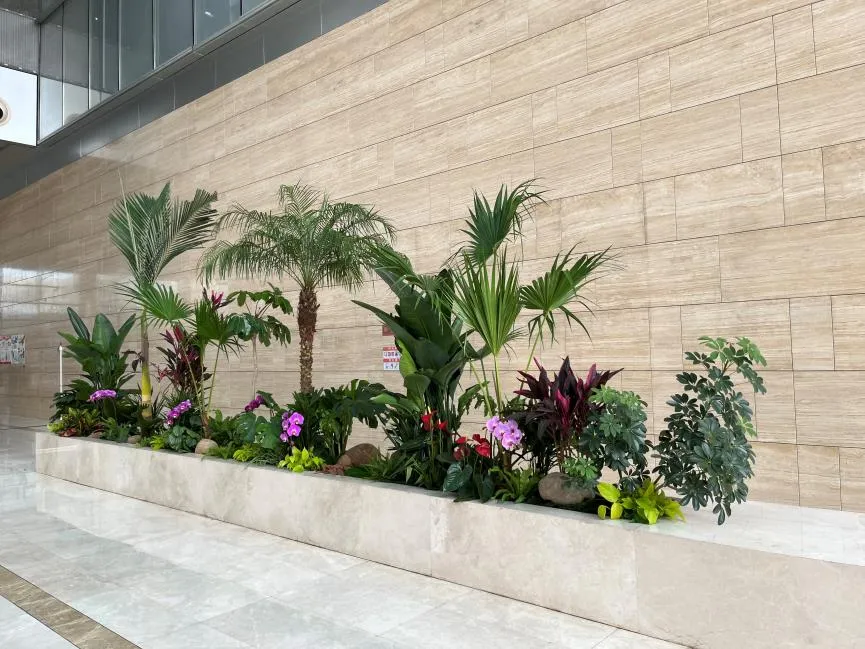 宁波海曙盆景出租哪家好